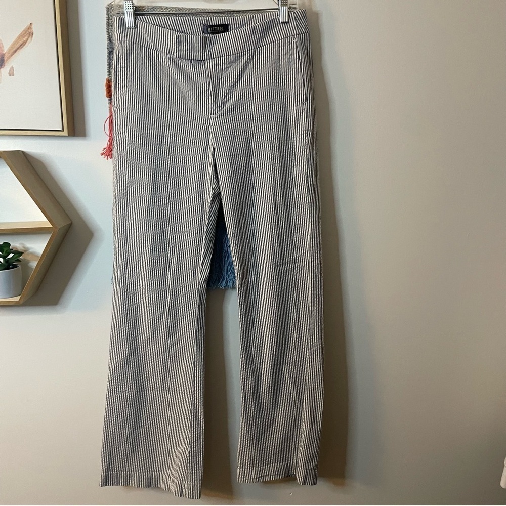Bitten Blue and White Pants size 8